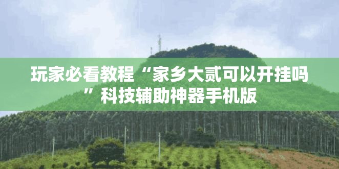 玩家必看教程“家乡大贰可以开挂吗”科技辅助神器手机版