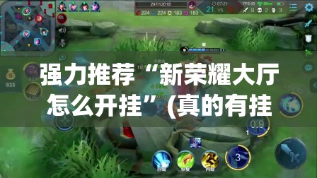 强力推荐“新荣耀大厅怎么开挂	”(真的有挂)辅助透视教程