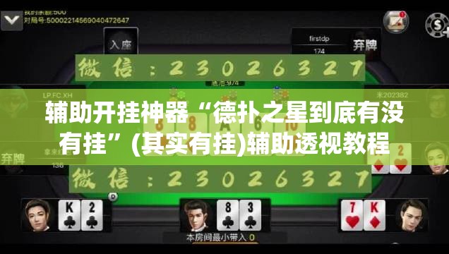 辅助开挂神器“德扑之星到底有没有挂”(其实有挂)辅助透视教程