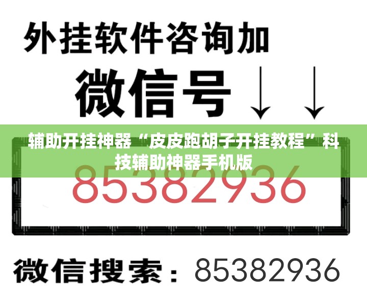 辅助开挂神器“皮皮跑胡子开挂教程”科技辅助神器手机版