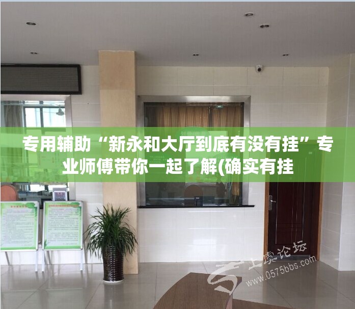 专用辅助“新永和大厅到底有没有挂”专业师傅带你一起了解(确实有挂