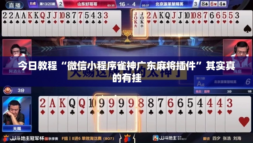 玩家必看教程“八仙竞技馆双扣记牌器”其实真的有挂