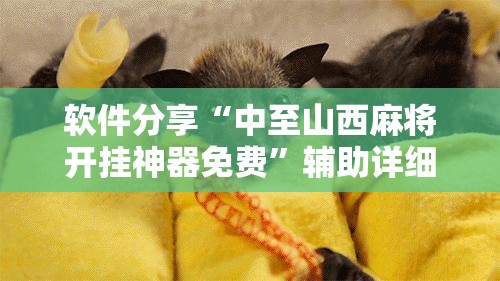 软件分享“中至山西麻将开挂神器免费”辅助详细步骤与使用技巧