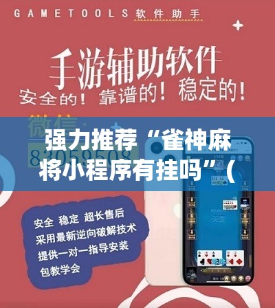 玩家必看教程“八仙竞技馆双扣记牌器”其实真的有挂