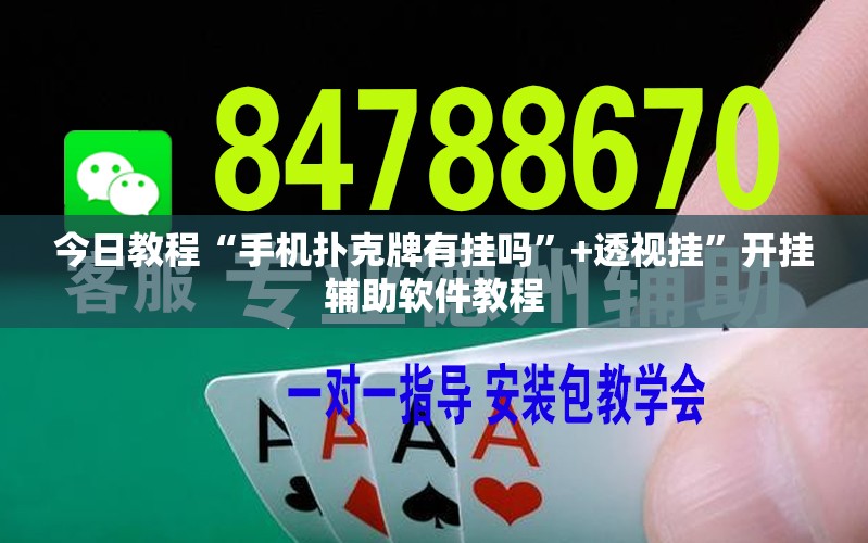 玩家必看教程“八仙竞技馆双扣记牌器”其实真的有挂