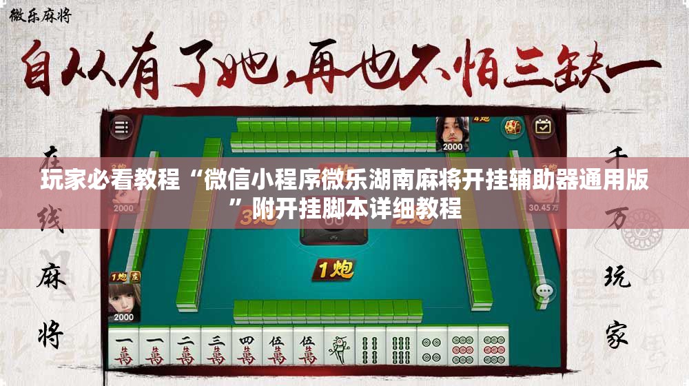 玩家必看教程“微信小程序微乐湖南麻将开挂辅助器通用版”附开挂脚本详细教程
